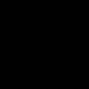 Meet your Posher, Oscar